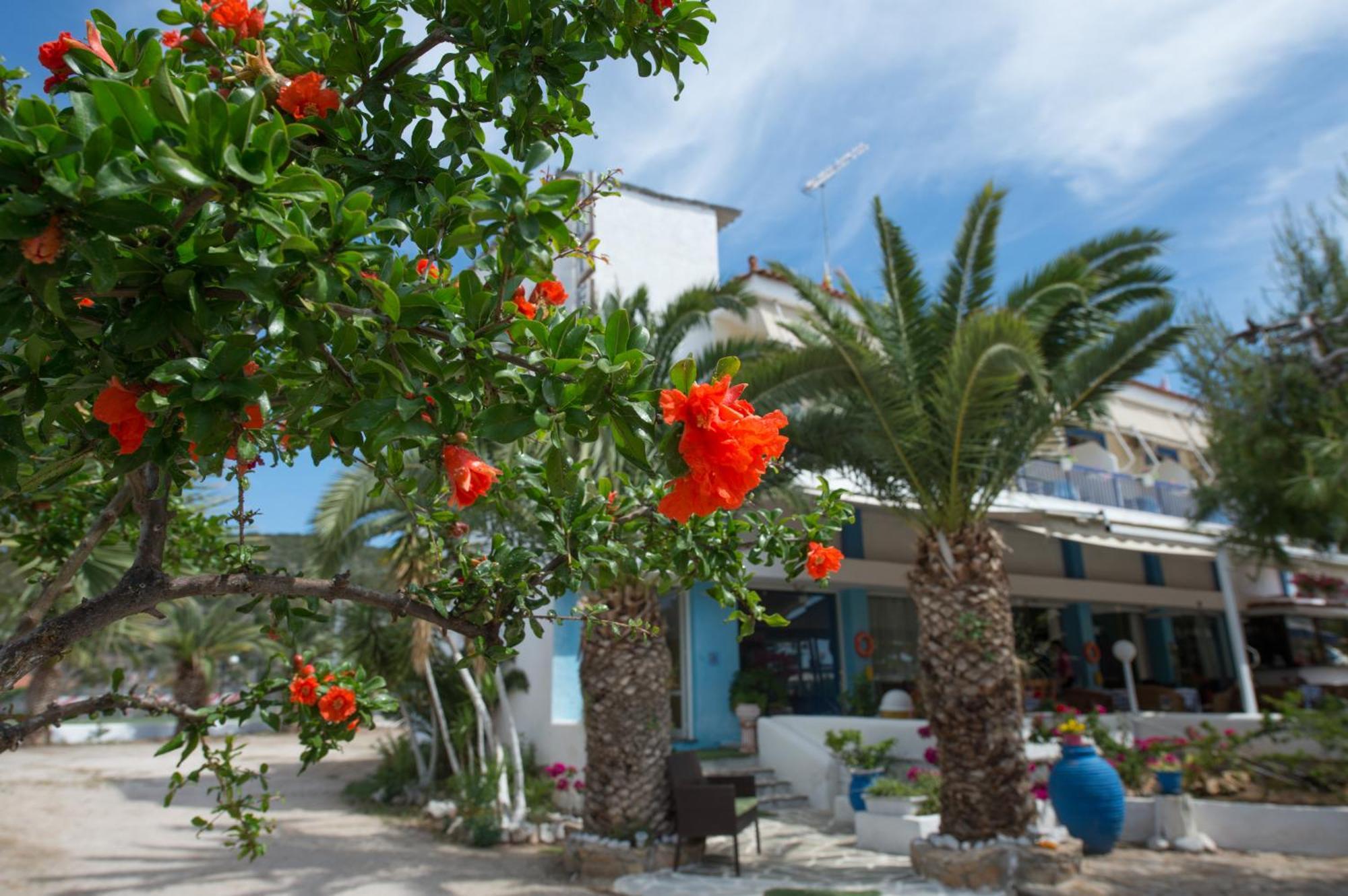 Hotel Avra Nea Epidhavros Bagian luar foto