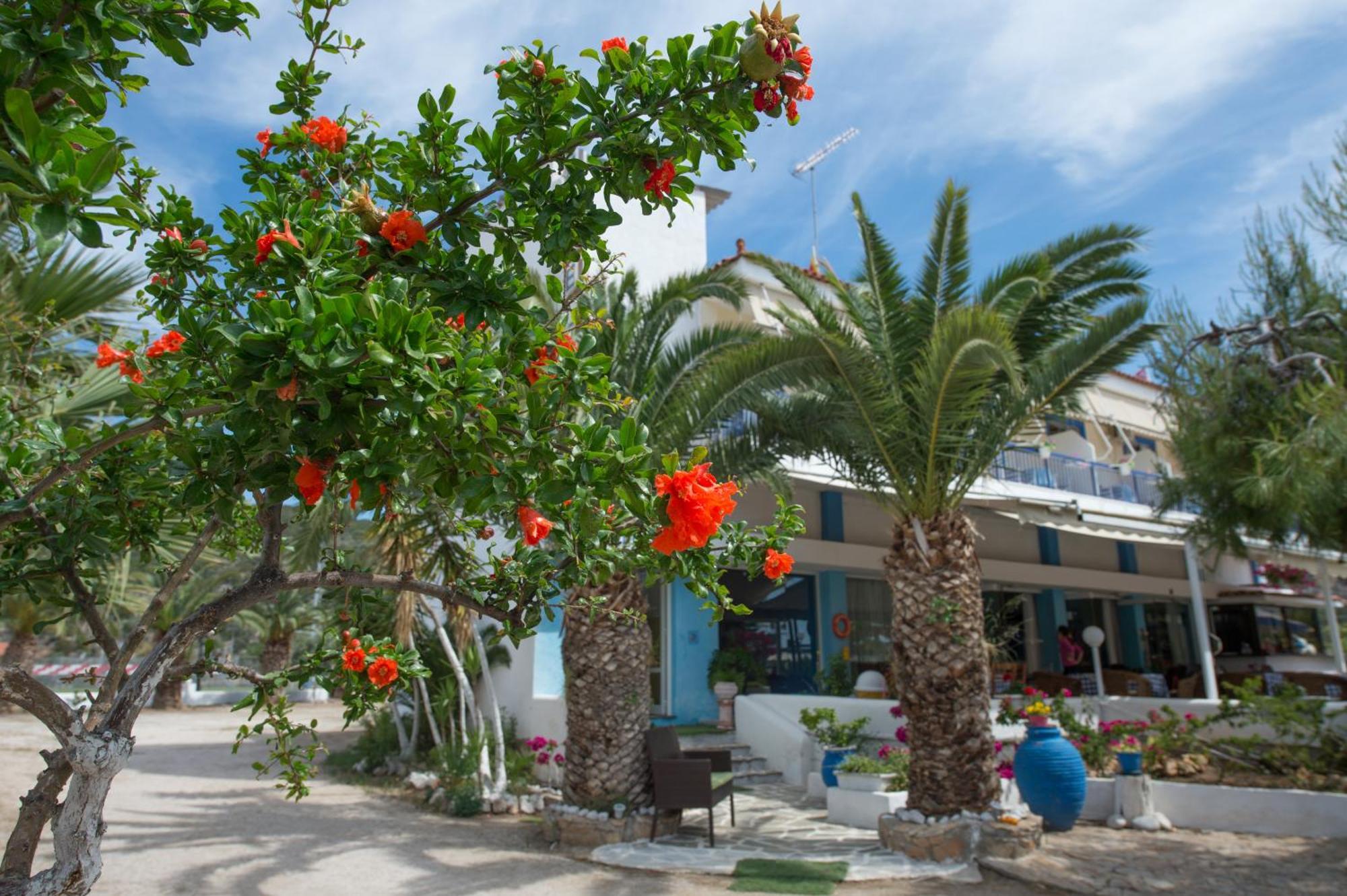 Hotel Avra Nea Epidhavros Bagian luar foto