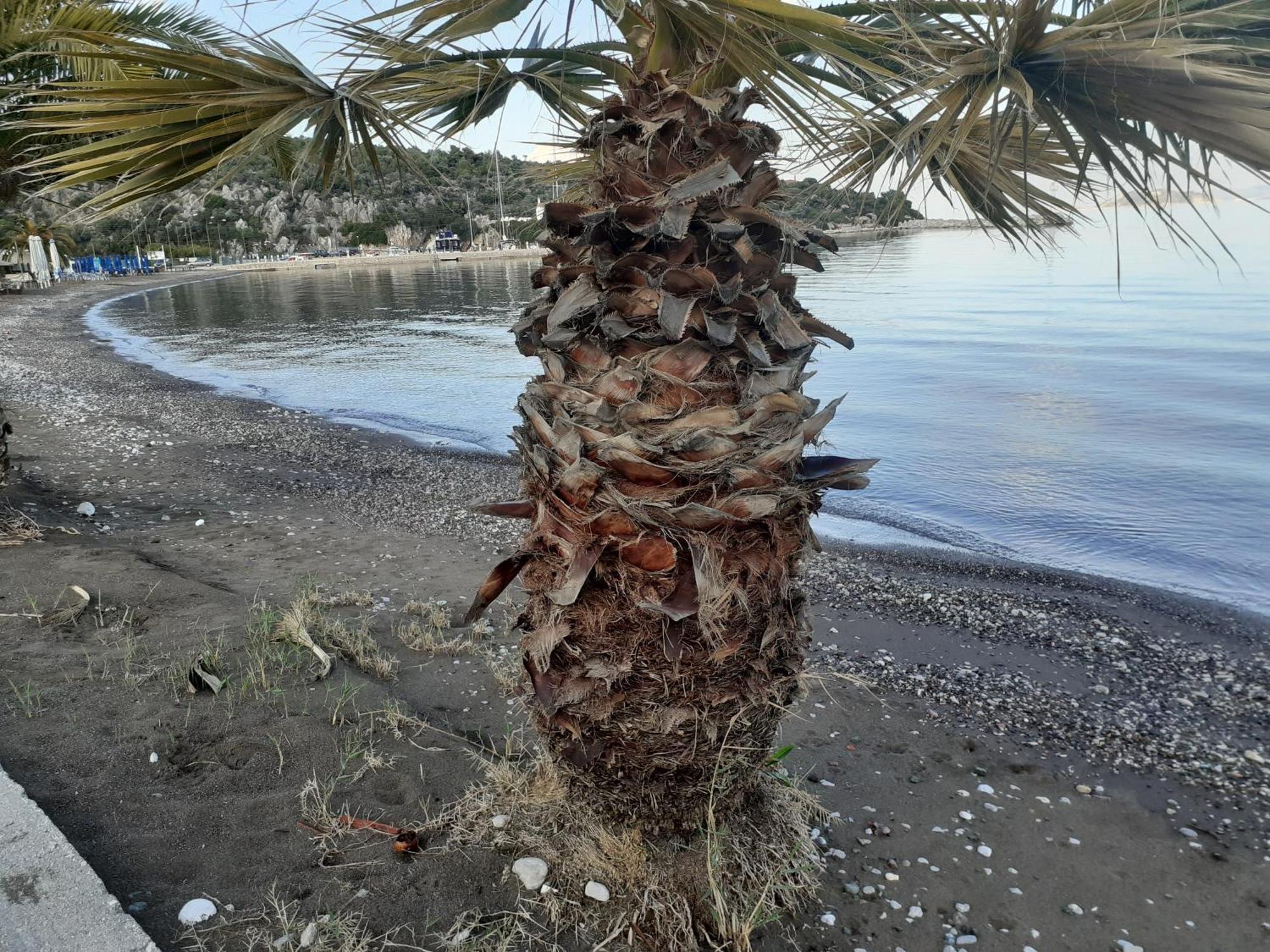 Hotel Avra Nea Epidhavros Bagian luar foto