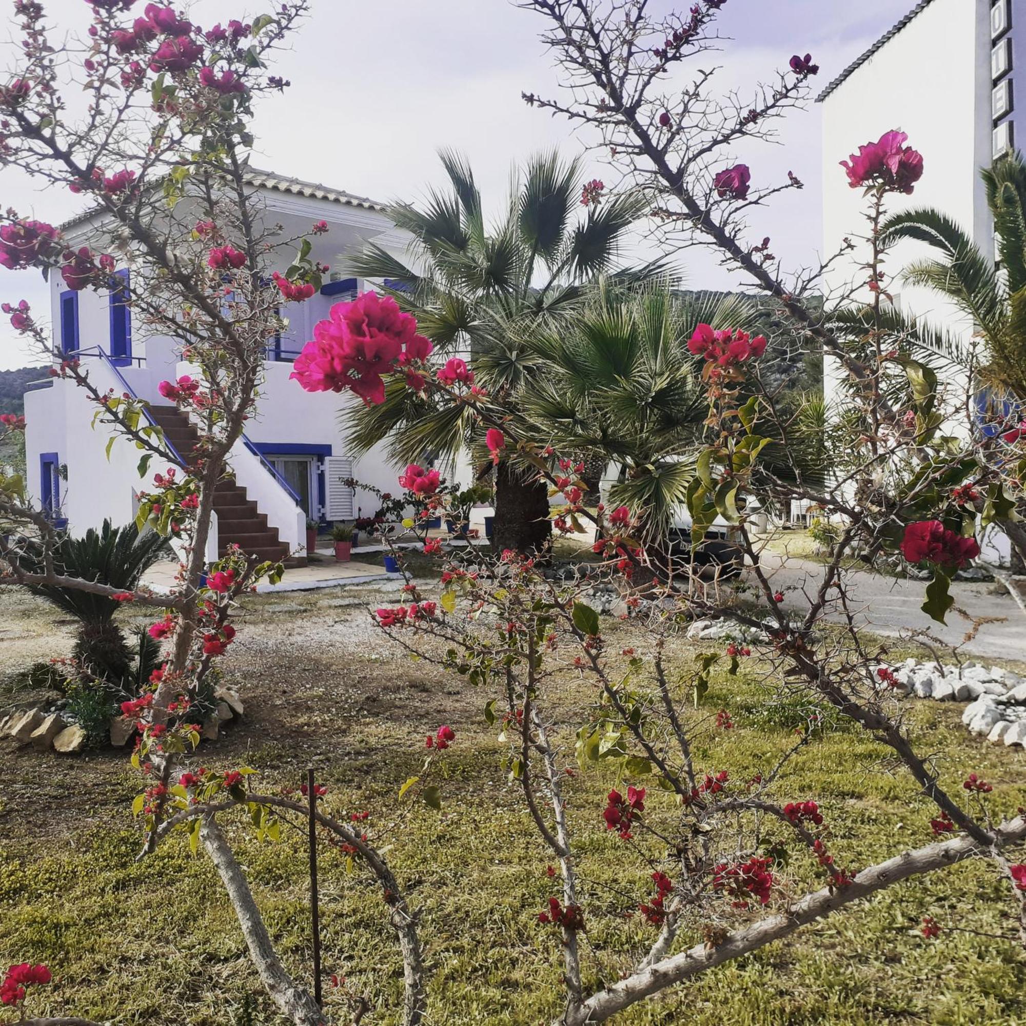 Hotel Avra Nea Epidhavros Bagian luar foto